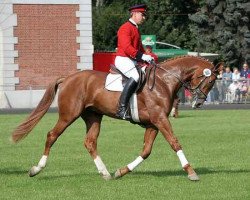 stallion Le Prince (Hanoverian, 2003, from Le Primeur)