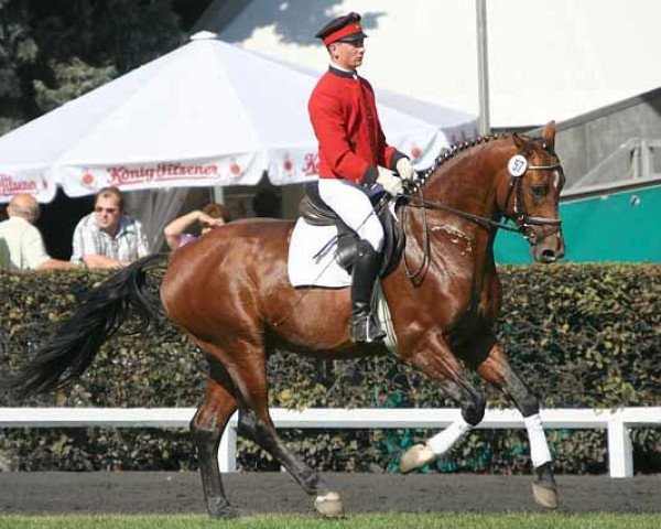 horse Le Carre (Hanoverian, 2003, from Le Primeur)