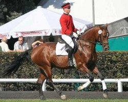 horse Le Carre (Hanoverian, 2003, from Le Primeur)