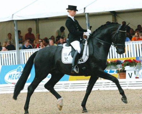 dressage horse Soliere (Hanoverian, 2004, from Sandro Hit)
