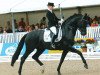 dressage horse Soliere (Hanoverian, 2004, from Sandro Hit)