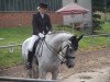 dressage horse Ricardo von Hellershagen (Oldenburg, 2003, from Relevant)