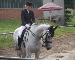 dressage horse Ricardo von Hellershagen (Oldenburg, 2003, from Relevant)