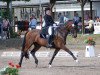 dressage horse Dalida S (Hessian Warmblood, 2002, from Dornenkönig)