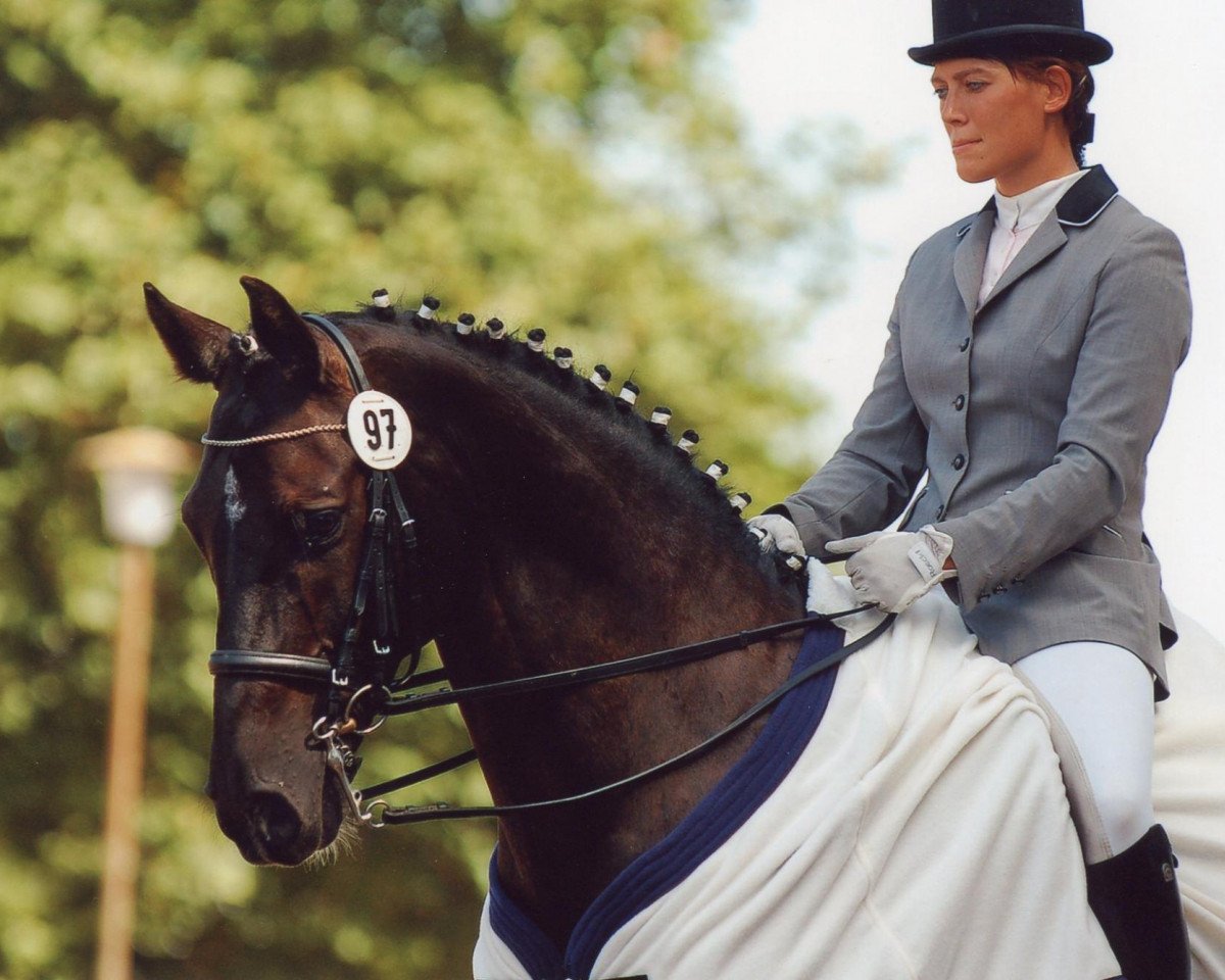 dressage horse Charly Brown 87 (Hessian Warmblood, 1994, from Corelli)