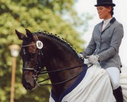 dressage horse Charly Brown 87 (Hessian Warmblood, 1994, from Corelli)