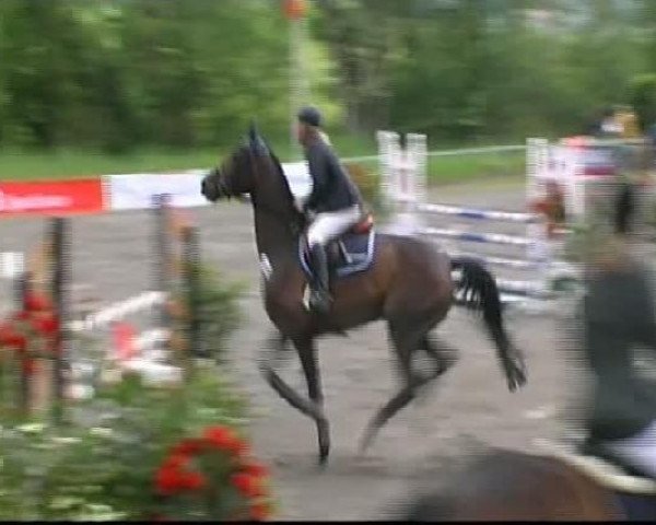 Isny-Rohrdorf 2011
Samstag, den 28.05.2011
09.1. Springpferdeprüfung Kl.L