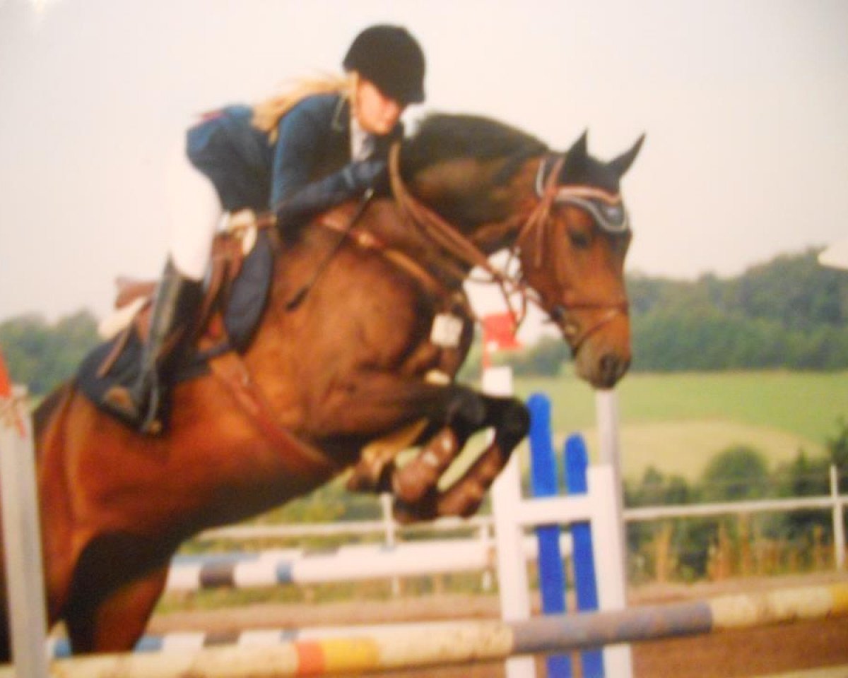 jumper Casiro Girl (Holsteiner, 2006, from Casiro I)