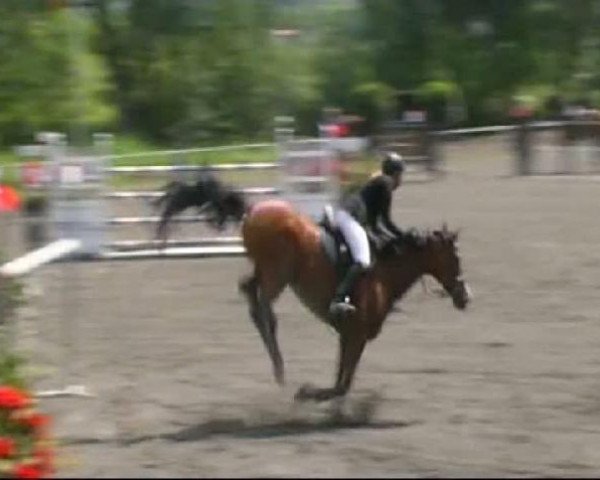 Isny-Rohrdorf 2011
Samstag, den 28.05.2011
02 Springprüfung Kl.S*
