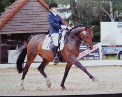 dressage horse Paddy (German Riding Pony, 2002, from Pernod)