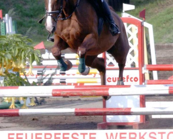 horse Alexia (Hanoverian, 1995, from Alexis Z)