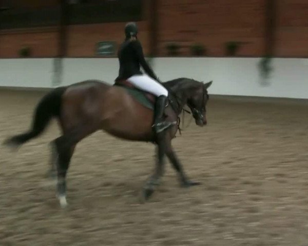 Video of Quickly 26