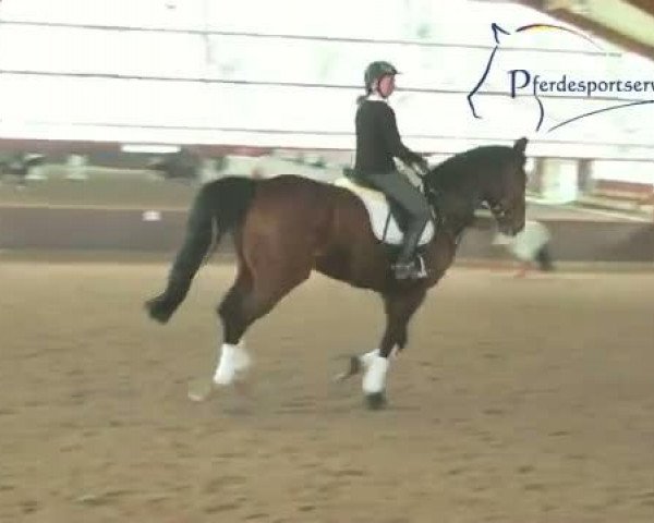 Video of Goofylazius