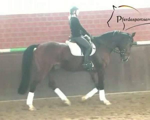 Video of Goofylazius