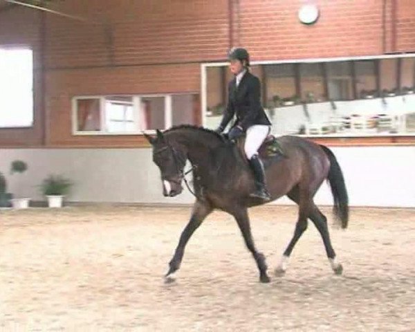 Video of Quickly 26