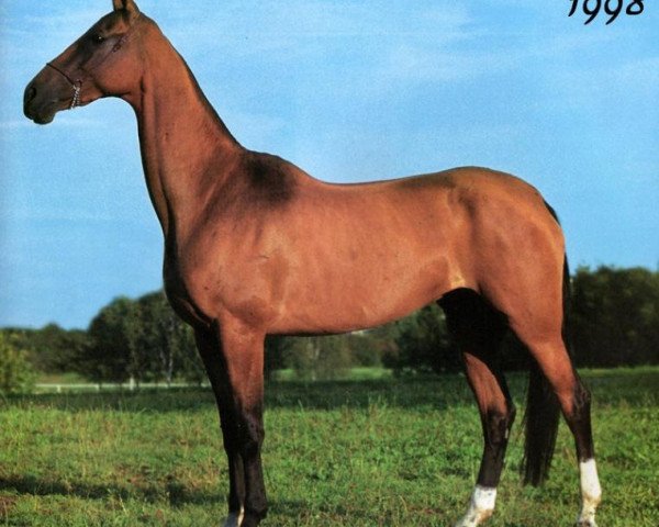 broodmare Yarodja (Akhal-Teke, 1994, from Orlan)