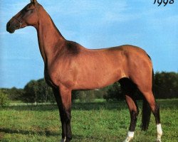 broodmare Yarodja (Akhal-Teke, 1994, from Orlan)