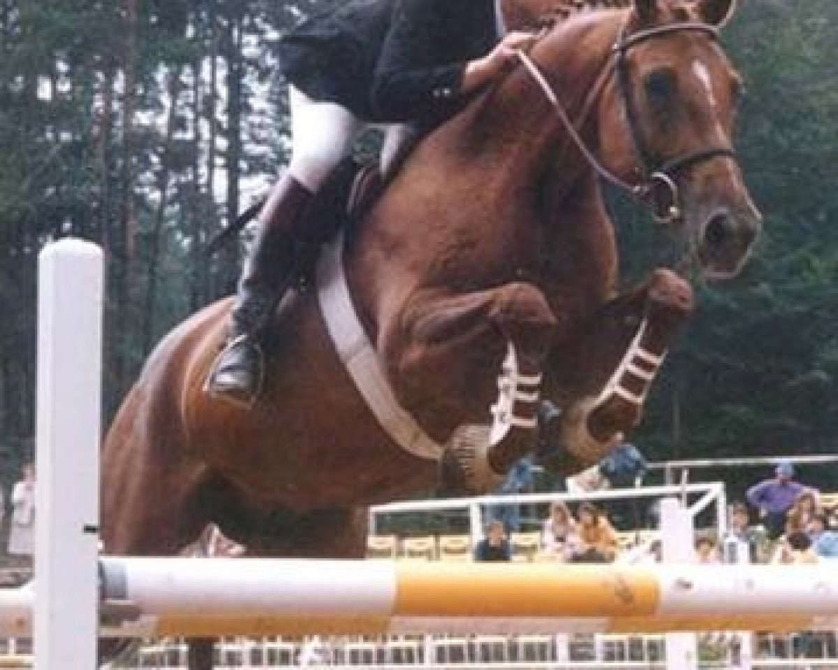 broodmare Akelei (Zweibrücken, 1982, from Absud)