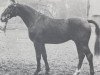 stallion Kurpfalz (Zweibrücken, 1966, from Kurier)
