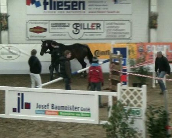 Video of Assalitore