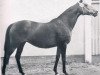 broodmare Angviola xx (Thoroughbred, 1945, from Wahnfried xx)