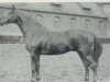 stallion Anfechter 3112 (Hanoverian, 1935, from Almjaeger I)