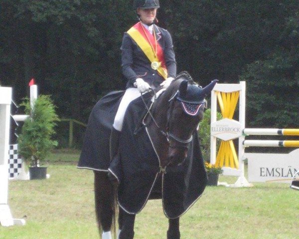 dressage horse Rubin Revell (Oldenburg, 2007, from Rubinero 2)