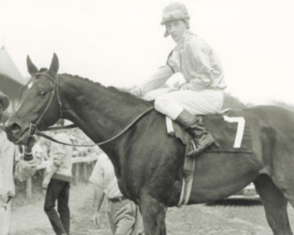 stallion Tompion xx (Thoroughbred, 1957, from Tom Fool xx)