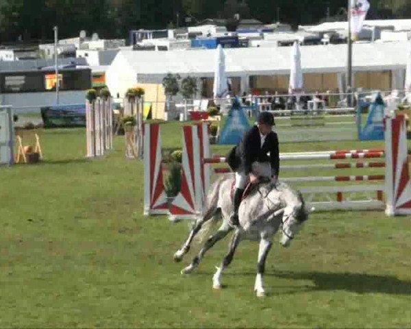 Video of Coco