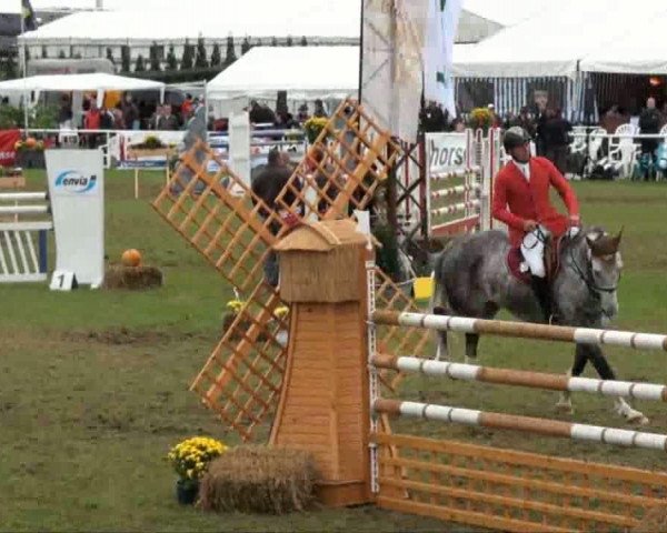 Video of Coco