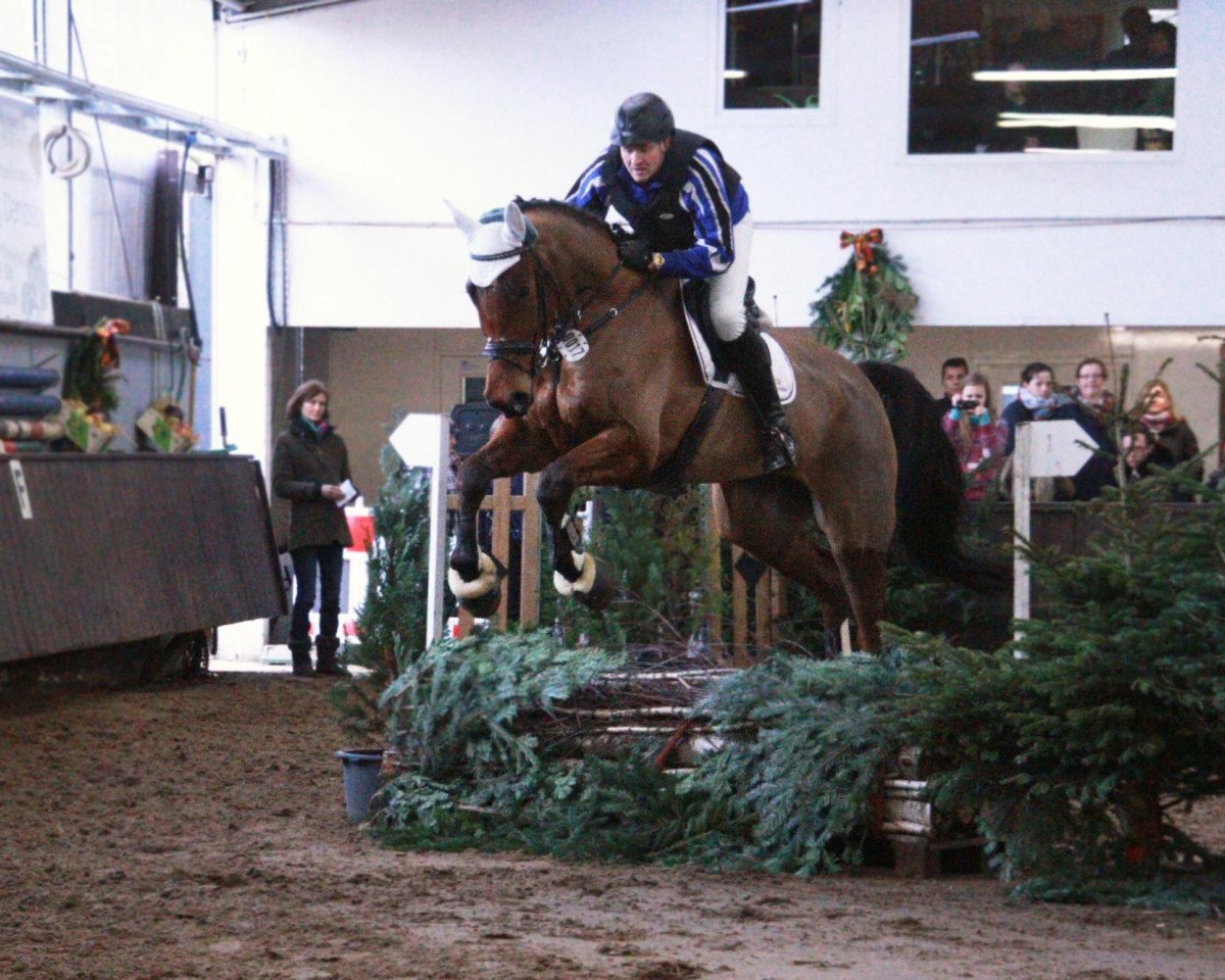 jumper Captain Checker W (Westphalian, 2009, from Captain Fire)