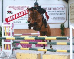 Springpferd Imago vd Heffinck (Belgisches Warmblut, 2008, von Boris van het Kluizebos)