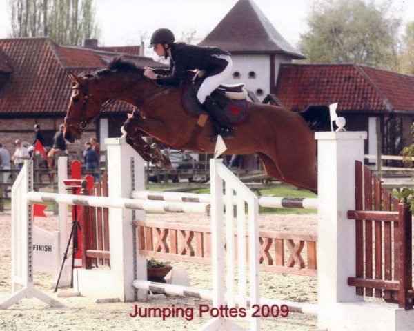 horse Golden Tree's Centa (Belgian Warmblood, 2002, from Caesar van de Helle)