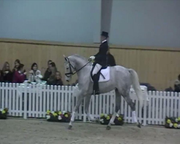 Video of Cristallo I