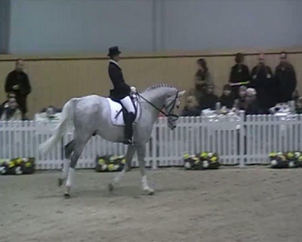 Video of Cristallo I