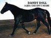 Zuchtstute Dandy Doll (Quarter Horse, 1948, von Texas Dandy)