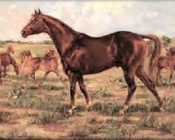Deckhengst Solis (Quarter Horse, 1923, von Old Sorrel)