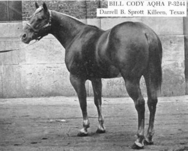 Deckhengst Bill Cody (Quarter Horse, 1944, von Wimpy)