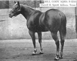 Deckhengst Bill Cody (Quarter Horse, 1944, von Wimpy)