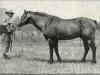 Deckhengst Pretty Boy (Quarter Horse, 1928, von Dodger)