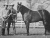 Deckhengst Dry Doc (Quarter Horse, 1968, von Doc Bar)