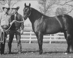 Deckhengst Dry Doc (Quarter Horse, 1968, von Doc Bar)