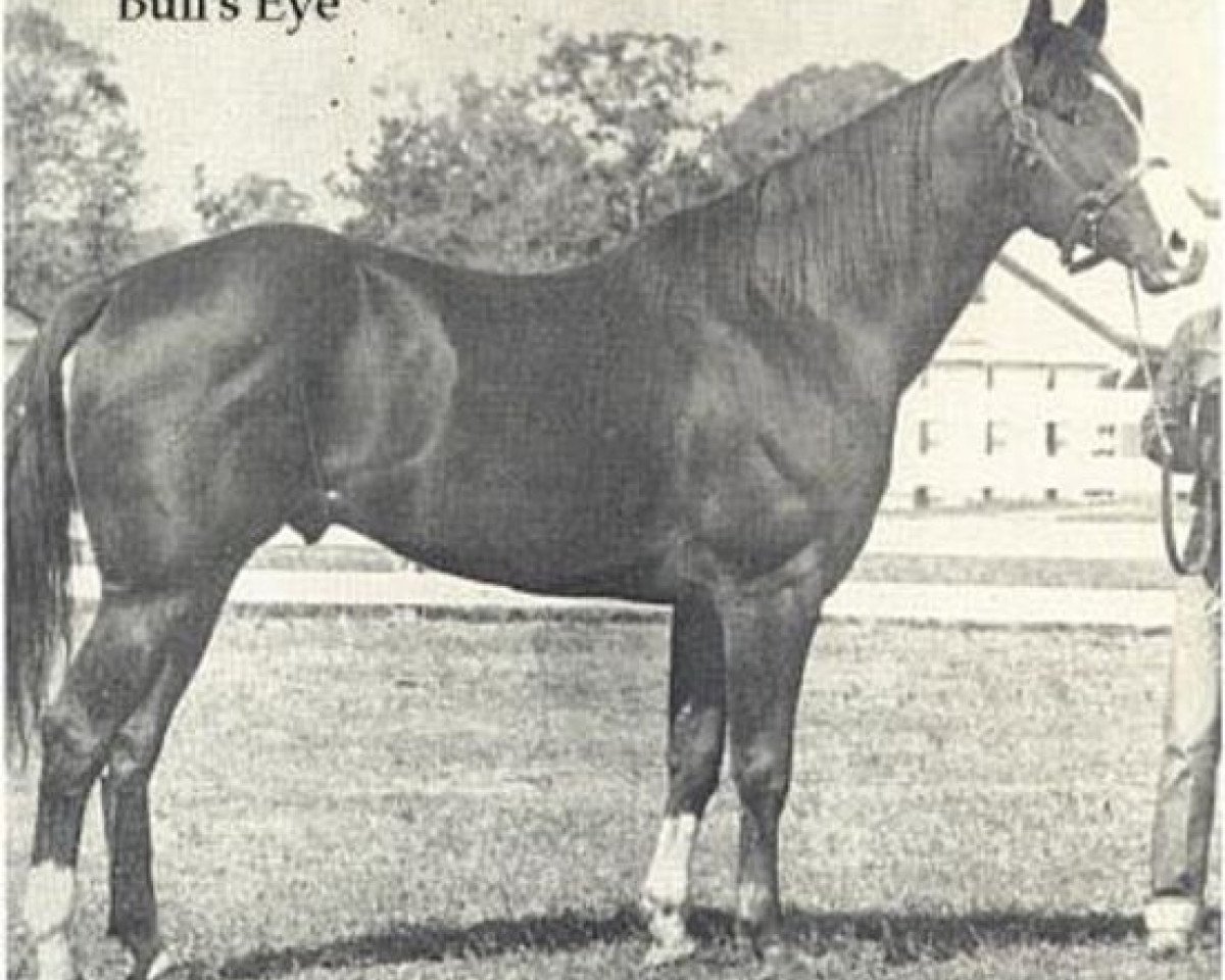 Deckhengst Bulls Eye (Quarter Horse, 1944, von Joe Reed II)