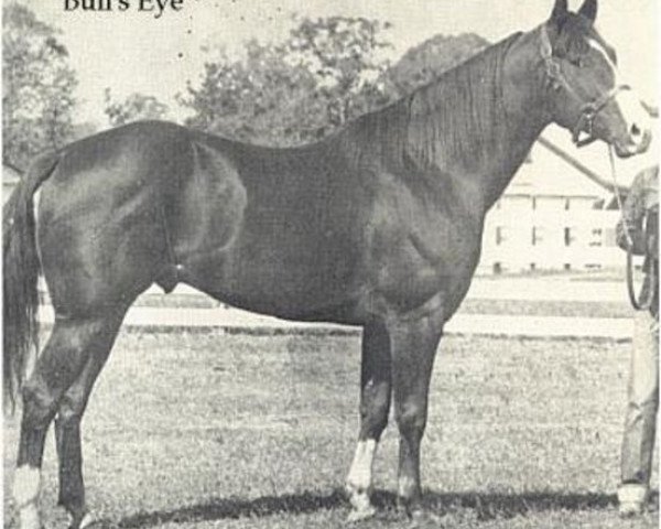 stallion Bulls Eye (Quarter Horse, 1944, from Joe Reed II)