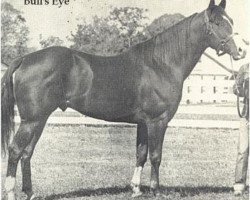 Deckhengst Bulls Eye (Quarter Horse, 1944, von Joe Reed II)