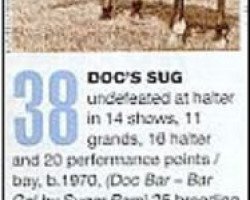 Deckhengst Docs Sug (Quarter Horse, 1970, von Doc Bar)