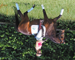 broodmare Texa (Trakehner, 2011, from Rastenberg)