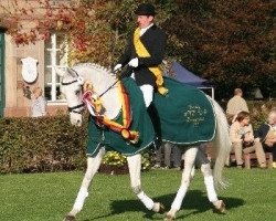 dressage horse Don De Luxe (Brandenburg, 2002, from Dionysos 19)