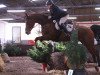 jumper Flip (KWPN (Royal Dutch Sporthorse), 2004)