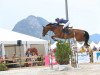 jumper Fabio van't Roosakker (Belgian Warmblood, 2005, from For Pleasure)